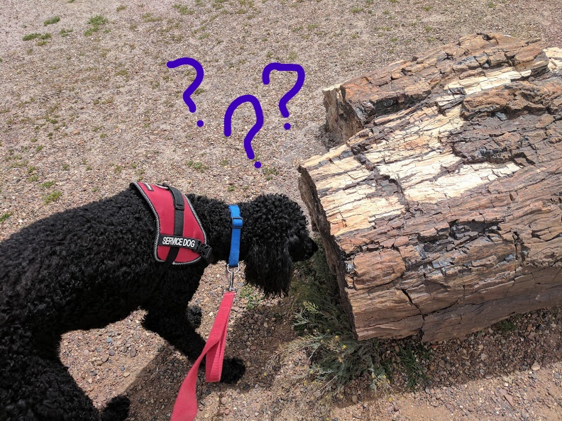 11 puzzeledOliver & the stone log