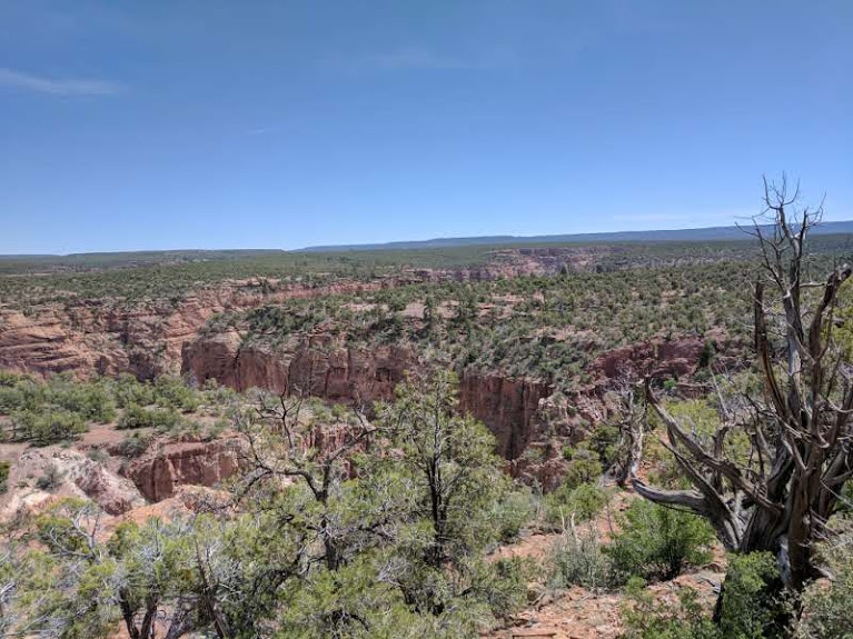 2 canyon land