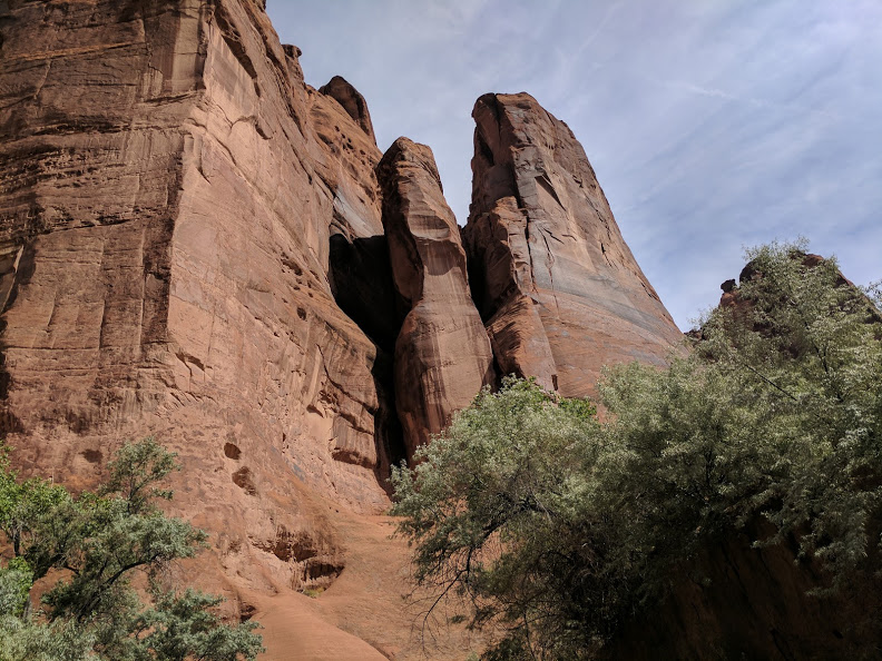 4 looking up in Spring Canyon