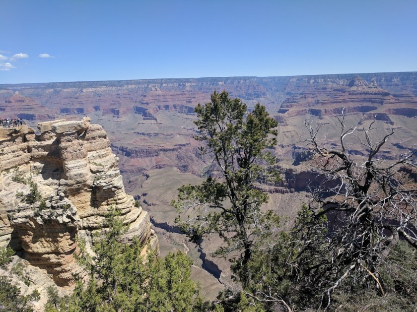 8 South Rim