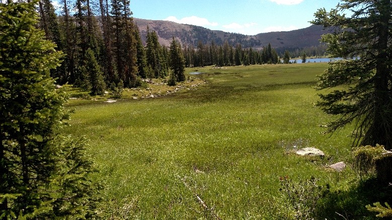 21 Grand daddy basin