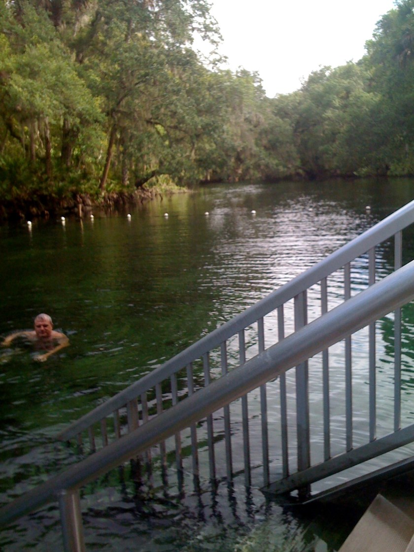 7 Swimming in Blue Springs.jpg